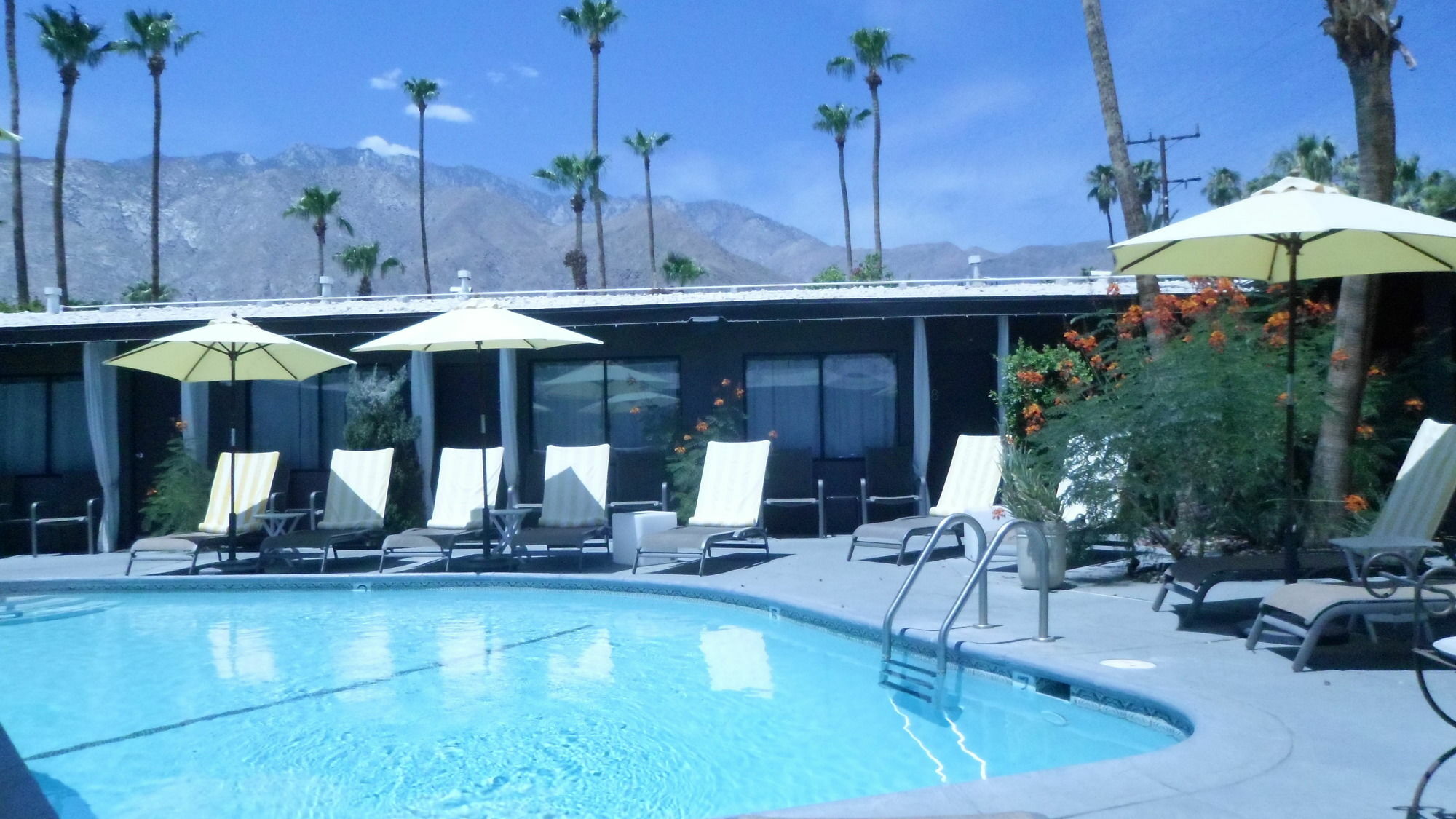 Avanti Hotel Palm Springs Kültér fotó