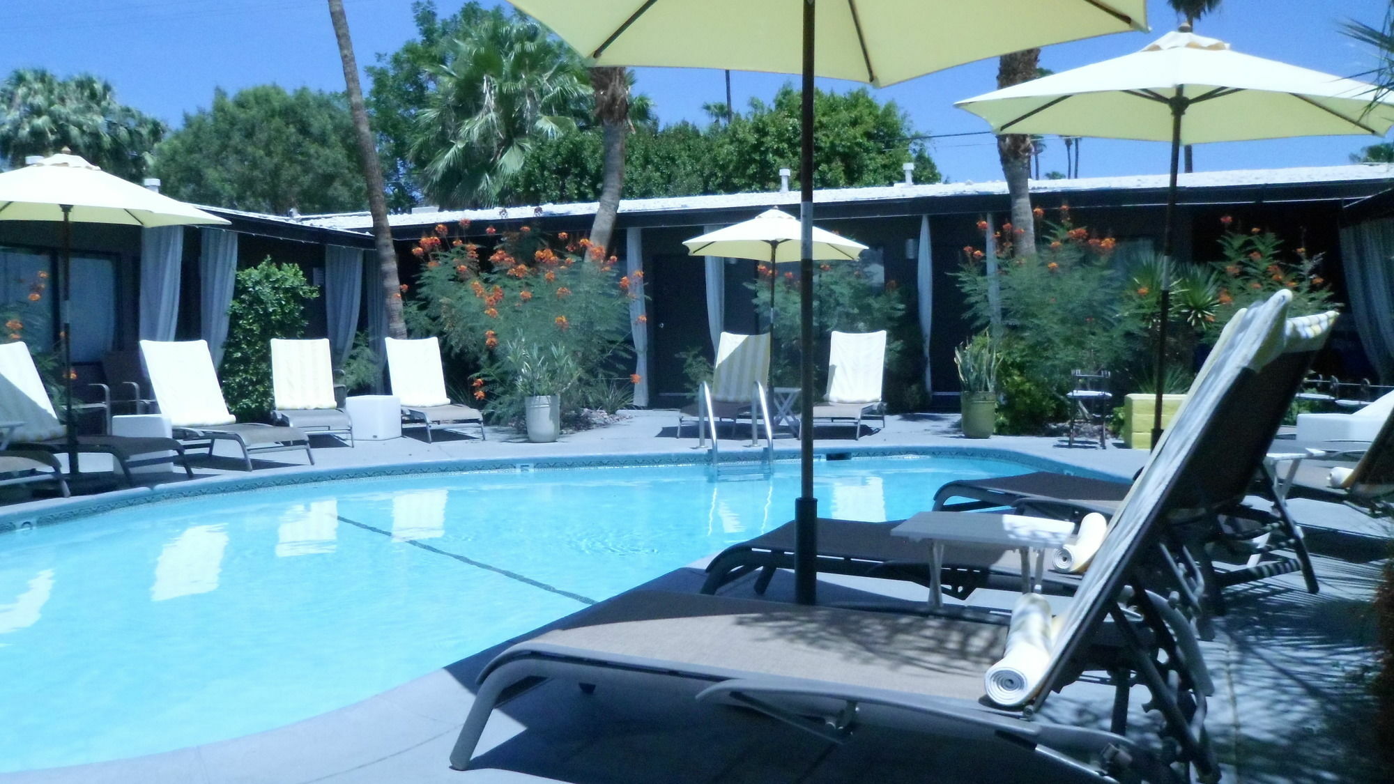 Avanti Hotel Palm Springs Kültér fotó