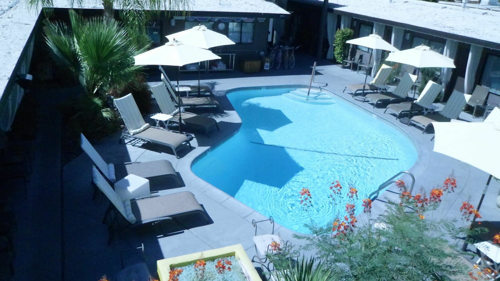 Avanti Hotel Palm Springs Kültér fotó